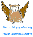 Forest Education Initiative