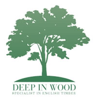 Deep In Wood