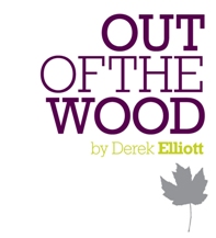 Derek Elliot - OutoftheWood